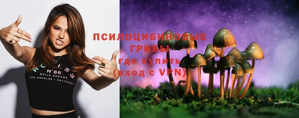твердый Киреевск