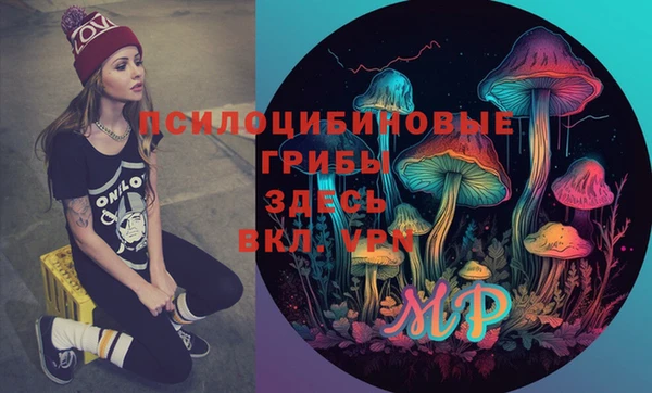 герыч Кинешма