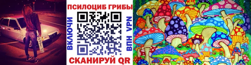 Галлюциногенные грибы прущие грибы  Купить  Буинск 