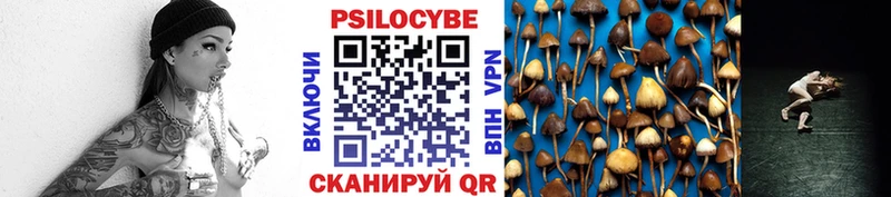Псилоцибиновые грибы Magic Shrooms Буинск